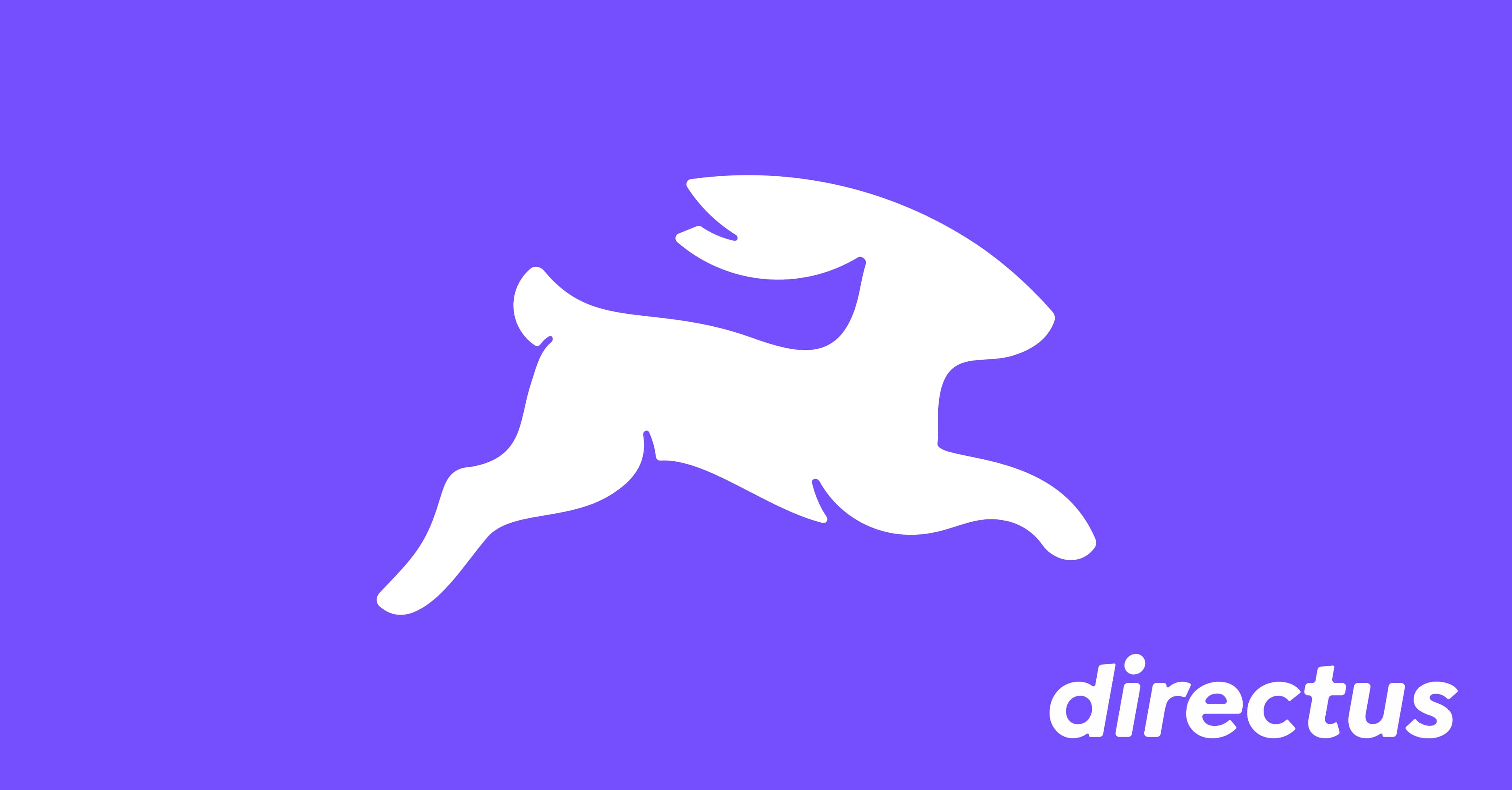 Logo de Directus con código de fondo