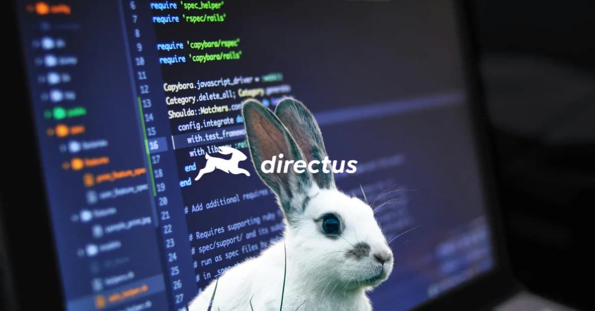 Logo de Directus con código de fondo