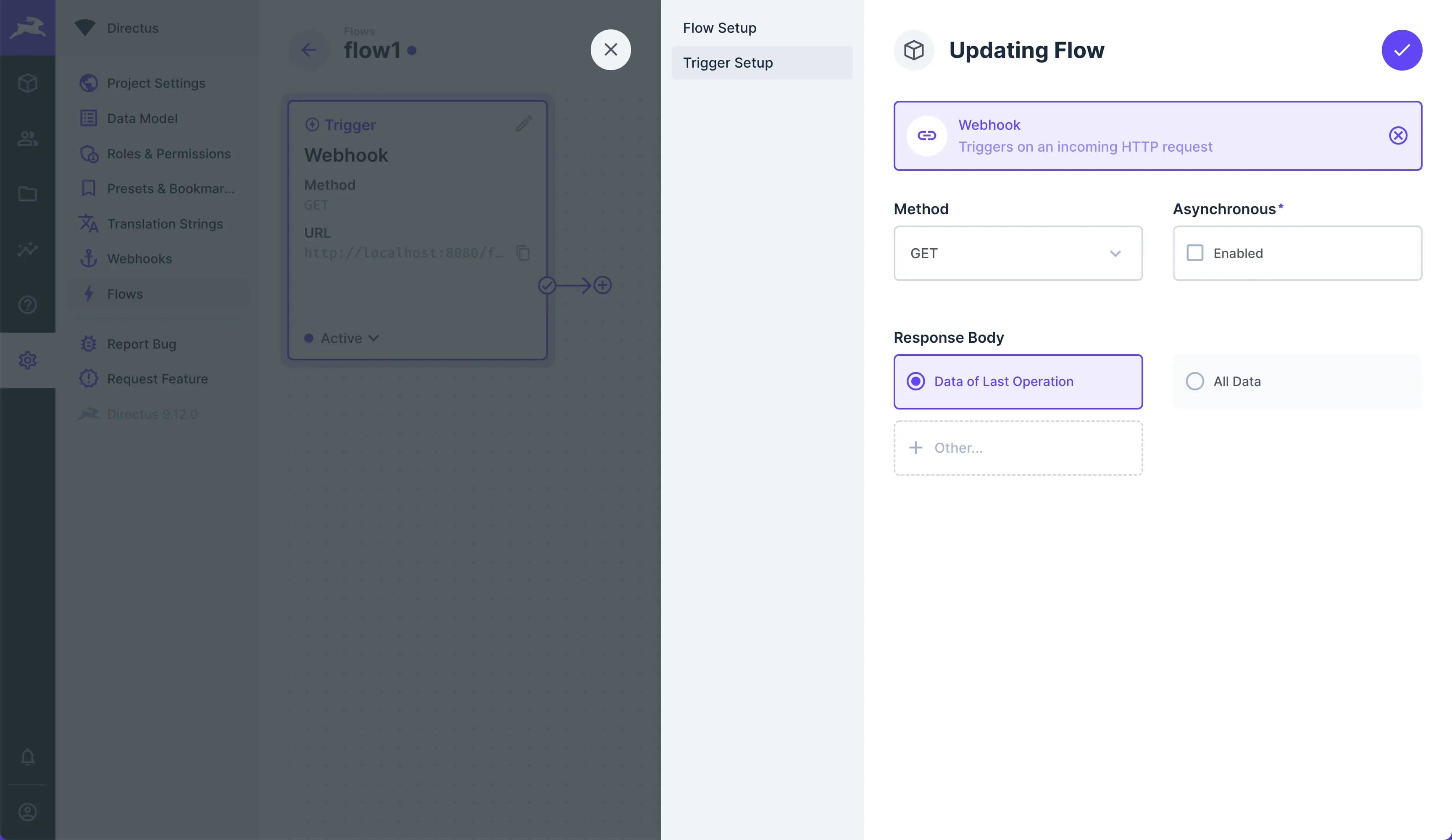 Captura de pantalla de la interfaz de Directus durante la creación de un Webhook